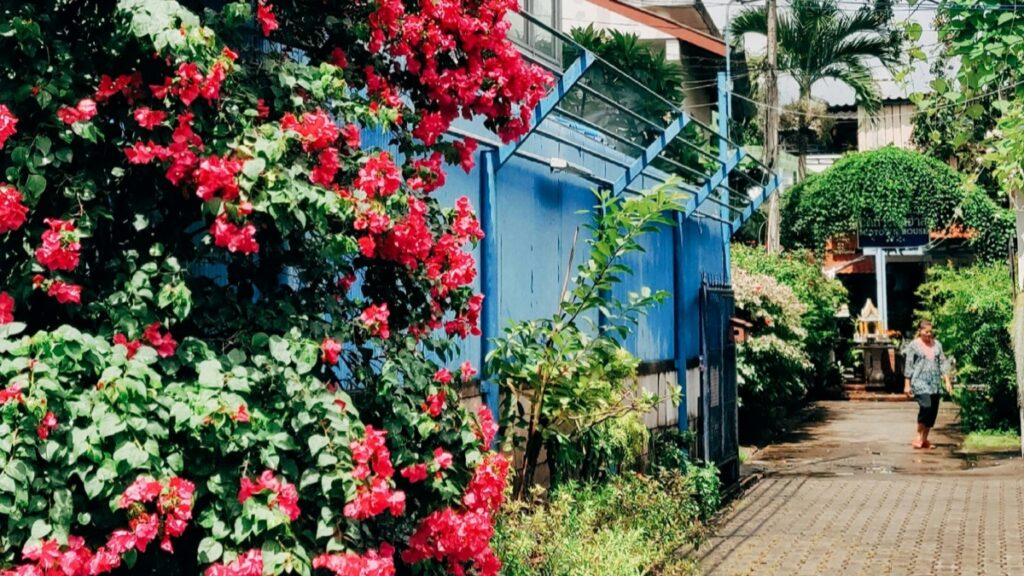 สวนที่มีดอกไม้สีแดงสวยงาม บันไดสีน้ำเงิน วิธีการทำเงินจาก Signal กลยุทธ์และเทคนิคที่คุณต้องรู้จะช่วยเพิ่มโอกาสทำกำไรในตลาดการเงิน