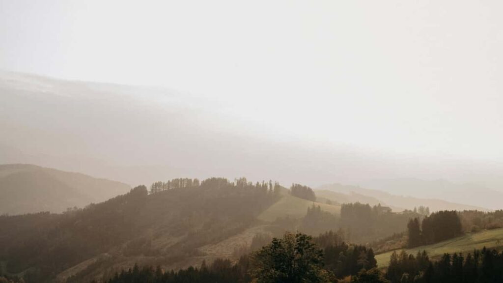 Top 10 TikTok Influencers You Should Collaborate With in Germany