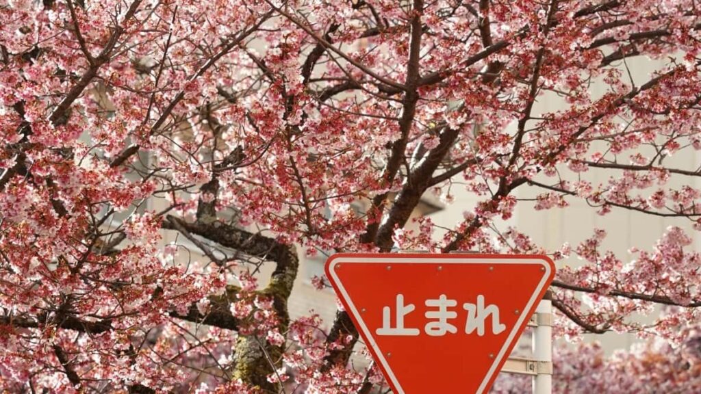 2025 Switzerland TikTok Full Category Advertising Rate Card สำหรับตลาดไทย