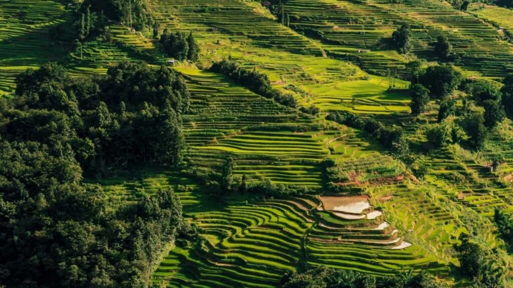 2025 Philippines Instagram Full Category Advertising Rate Card สำหรับตลาด Thailand