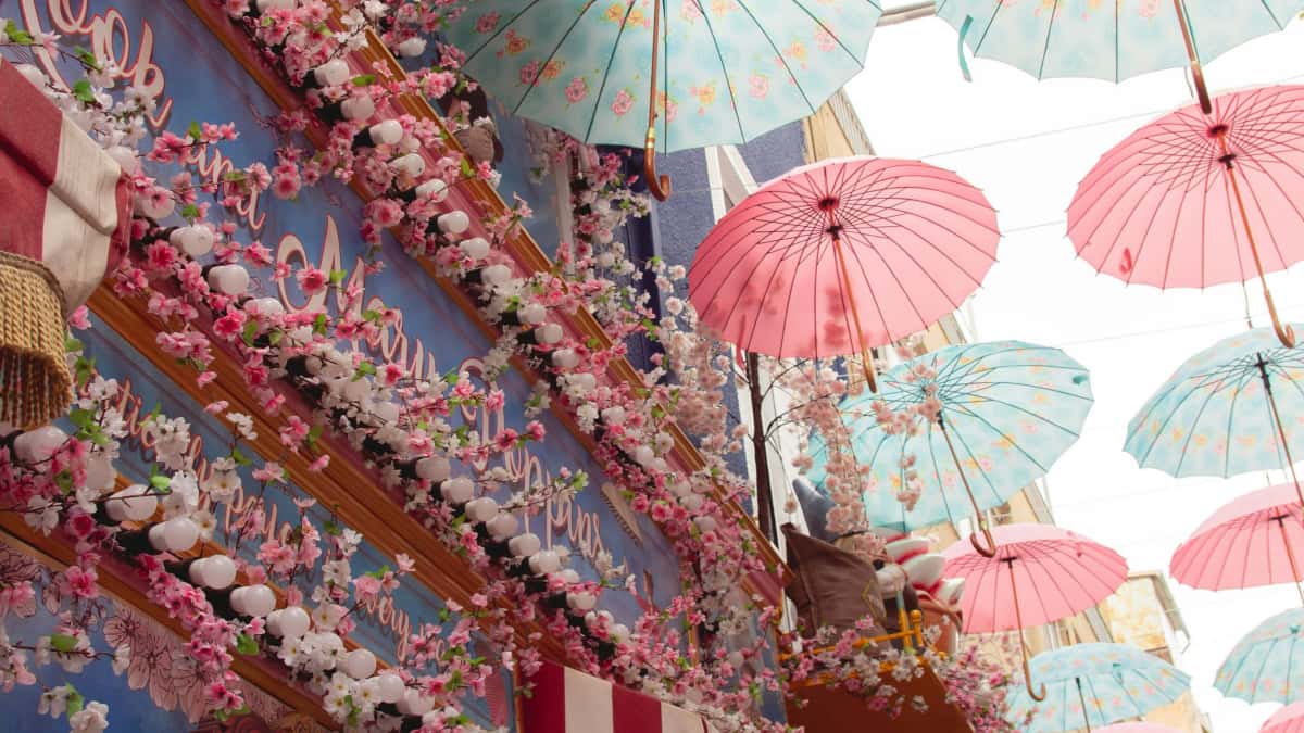 Thai Brands: Find Dutch Facebook Creators Fast