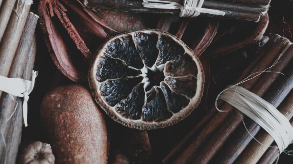 : Pinterest creators Bosnia and Herzegovina