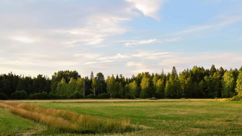 : Bilibili (branded tutorials)