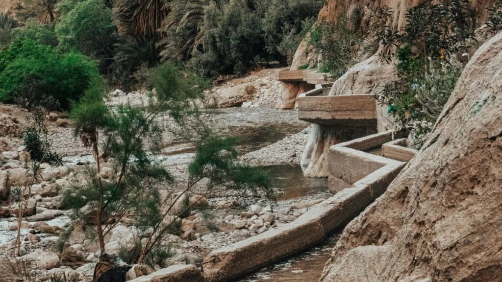 : Xiaohongshu mid-tier creators