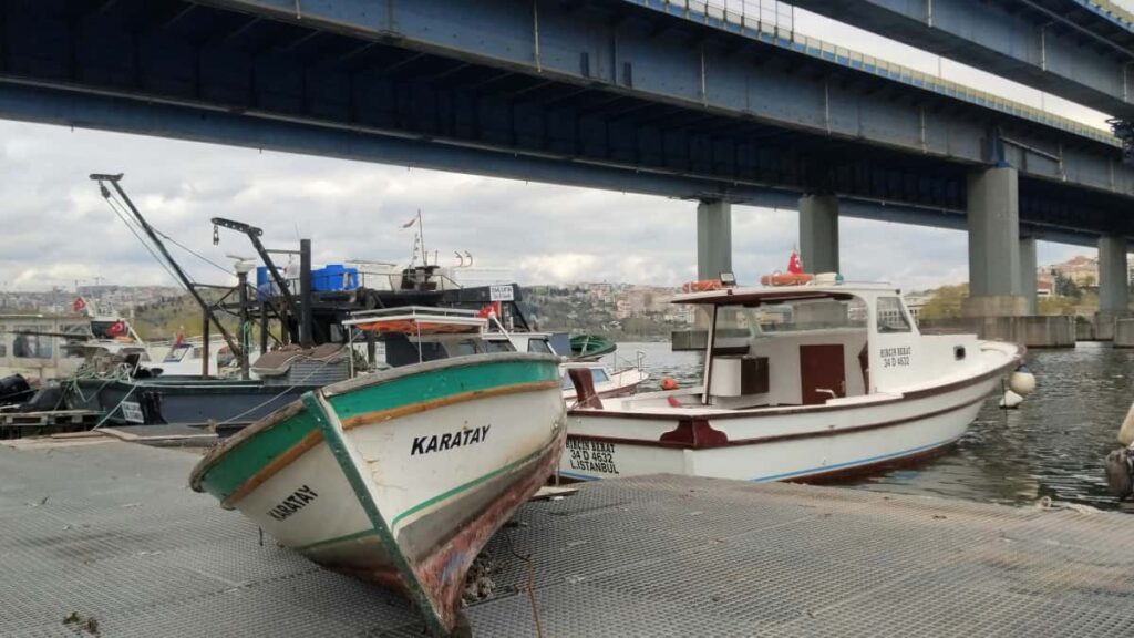 Shopee creators creator-led fitness challenges -