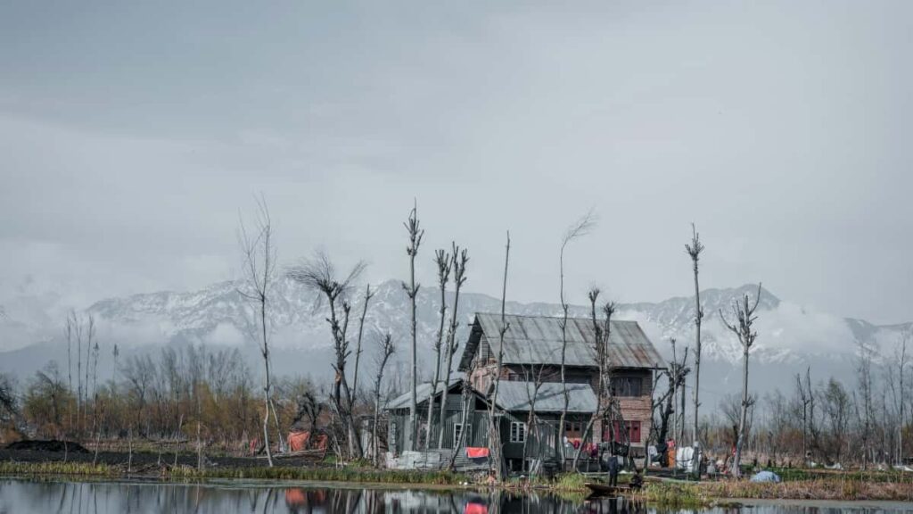 Netflix creators Bosnia and Herzegovina , ,