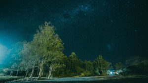 Josh insight product seeding