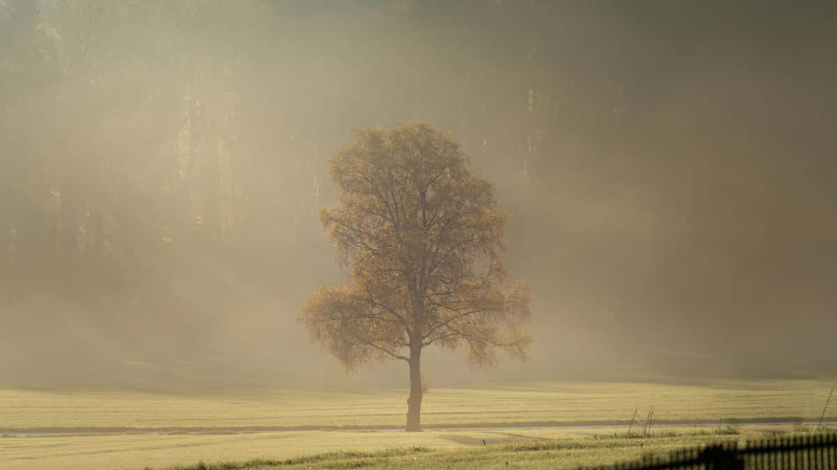 ครีเอเตอร์ไทยชวนแบรนด์กรีซบน KakaoTalk ทำคลิปรายการแกะกล่อง (Unboxing) แบบได้งาน