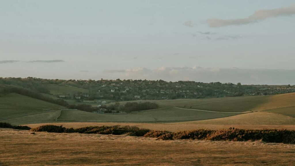 : / Oman Etsy micro-influencer