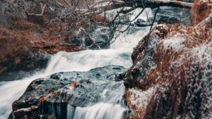 Hulu styling challenge